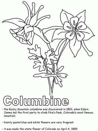colorado state tree Colouring Pages