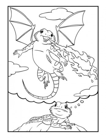 Bearded Dragon Daydreams Coloring Book - Bilingual Monkeys