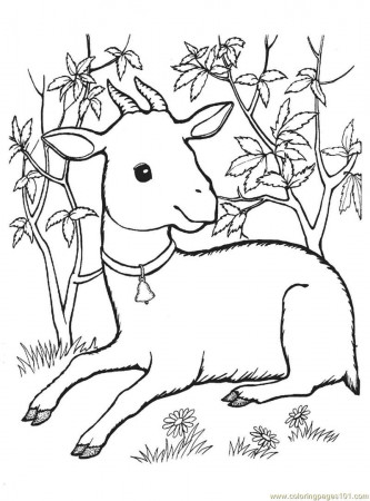Goat Coloring Pages - HiColoringPages