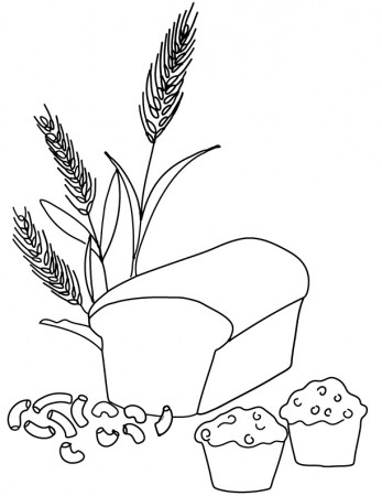 Free Printable Wheat Coloring Page free image