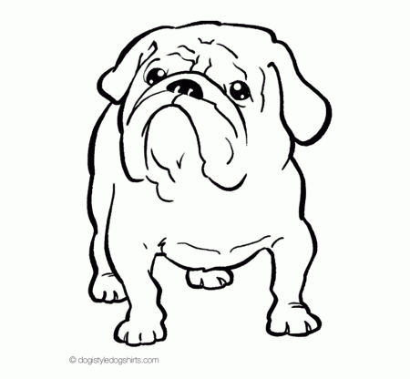 Bulldog Coloring Pages For Kids - CartoonRocks.com