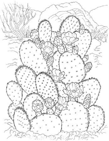 Printable Coloring Pages for Adults {15 Free Designs}