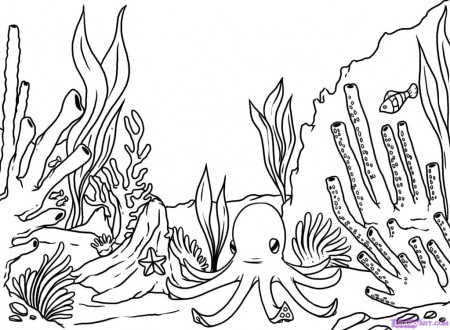 Coral Reef Coloring Page