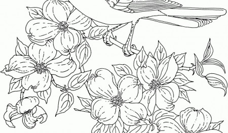 Flowers And Birds Coloring Pages Coloring Panda throughout ...