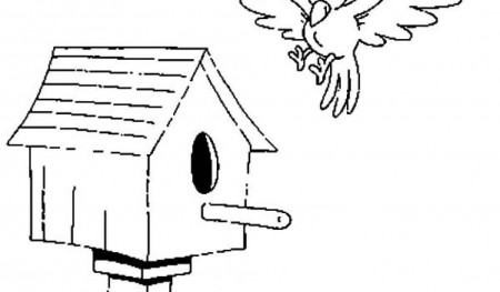 Good bird house coloring pictures Coloring free online coloring ...