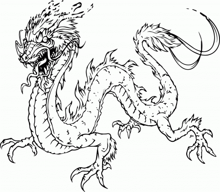 Dragon Animal Coloring Pages For Adults 555 Free Printable ...