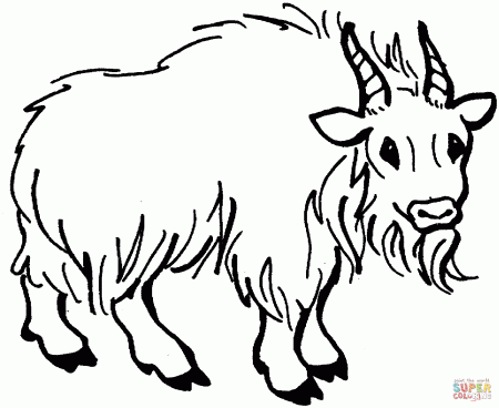 Realistic Mountain Goat coloring page | Free Printable Coloring Pages