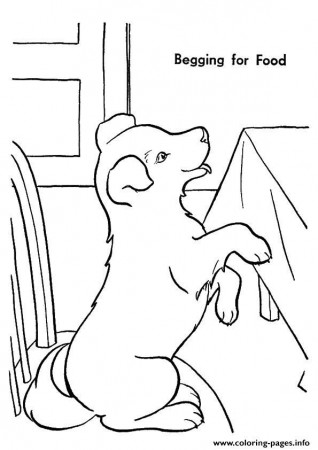 Print The Pup Begging For Food puppy Coloring pages