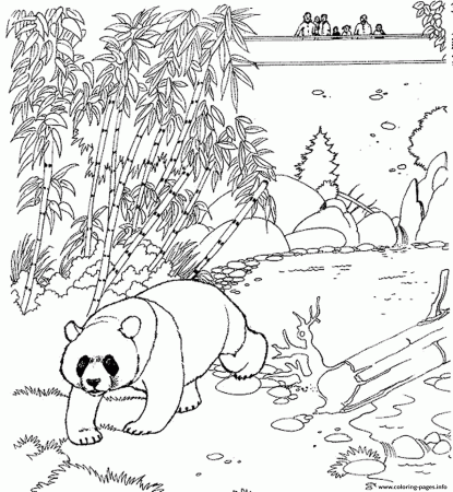 Print zoo panda free printable animal s160c Coloring pages