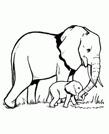 Wild Animal Coloring Pages | Elephant Family Coloring Page and ...