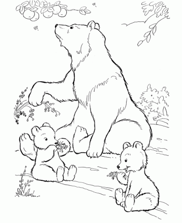 Wild Animal Coloring Pages | Wild bears eating berries Coloring 