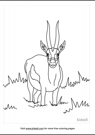 Gazelle Coloring Pages | Free Animals Coloring Pages | Kidadl