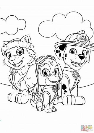 Coloring Pages : Bathroom Paw Patrol Coloring Everest Image Rocky ...