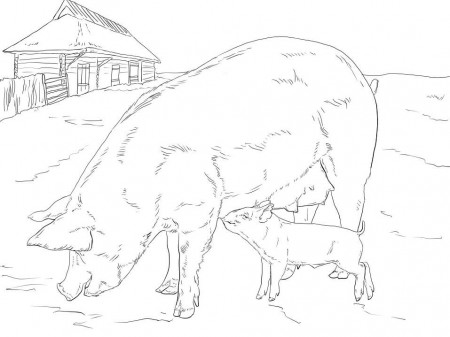 Mother and Baby Pig Coloring Page - Free Printable Coloring Pages for Kids