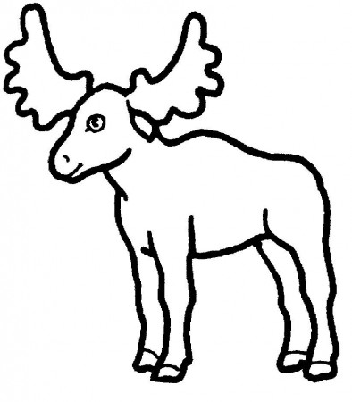 Moose Head Coloring Pages - HiColoringPages