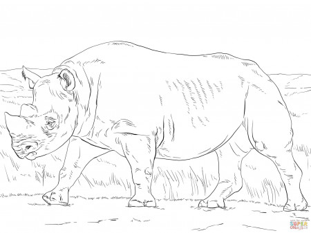 Rhino coloring pages | Free Coloring Pages