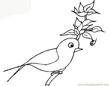 coloring-pages-parrot-luau-parrots-free-printable-pic-703150 ...