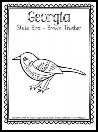 Georgia State Bird Coloring Page (Brown Thrasher!) {FREE Printable!} - The  Art Kit