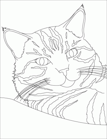 Tabby Cat Coloring Page - Free Printable Coloring Pages for Kids