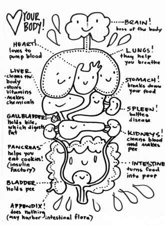 Digestive System Coloring Pages | Printable Shelter