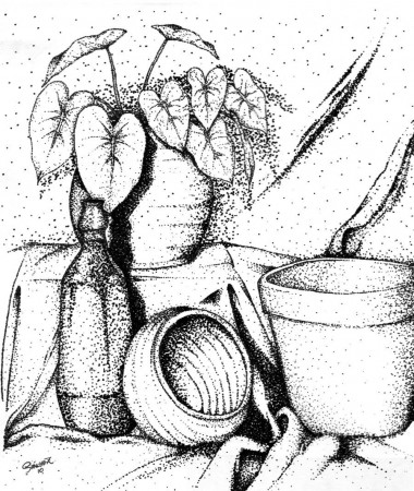 Fruit Still Life Coloring Pages - High Quality Coloring Pages