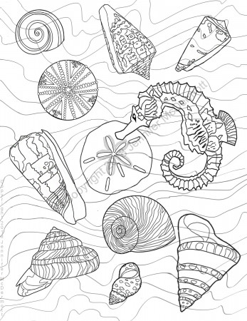 Coloring Page: a Seahorse Among Seashells a Sea Urchin and | Etsy Australia