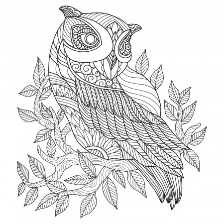 Owl hand drawn for adult coloring book 3417991 Vector Art at Vecteezy