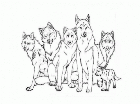 wolf pup coloring pages jaune | Best Coloring Page Site