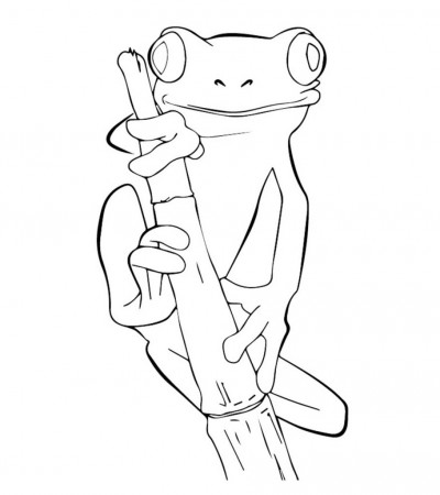 25 Delightful Frog Coloring Pages For Your Little Ones