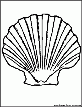 List Of Clam Coloring Pages