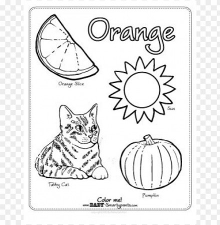 color orange coloring page PNG image with transparent background | TOPpng
