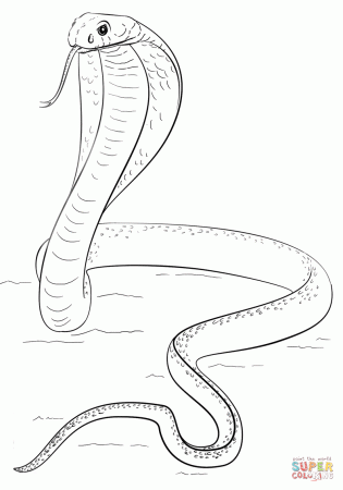 King Cobra coloring page | Free Printable Coloring Pages