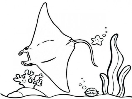 Stunning stingray coloring page | Coloring pages, Animal coloring pages,  Preschool coloring pages