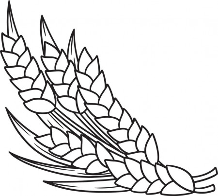 Thanksgiving Harvest Wheat Isolated Coloring Page 8208249 Vector Art at  Vecteezy