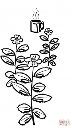 Tea In India coloring page | Free Printable Coloring Pages
