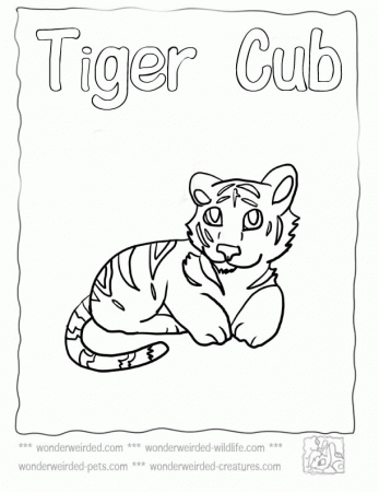Baby Tiger Coloring Pages,Echo's Cute Tiger Coloring Pages For Kids
