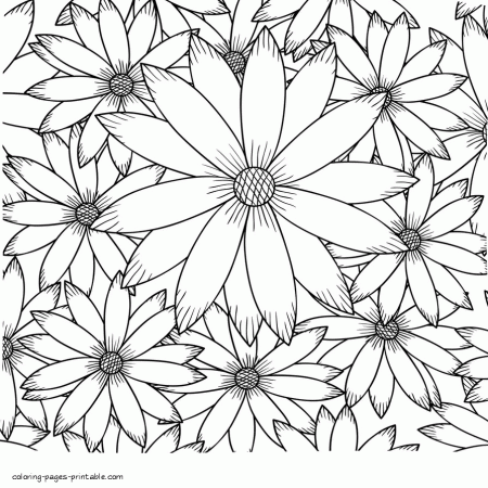Detailed Flower Coloring Pages || COLORING-PAGES-PRINTABLE.COM