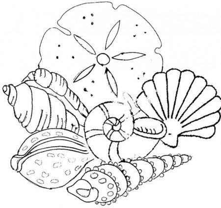 Sea Shells - Coloring Pages for Kids and for Adults