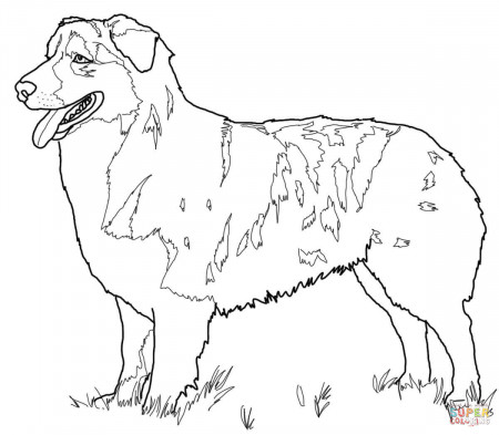 Australian Shepherd - German Shepherd Dogs Coloring page