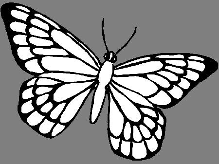 Amazing of Butterfly Printable Coloring Pages In Butterfl #391