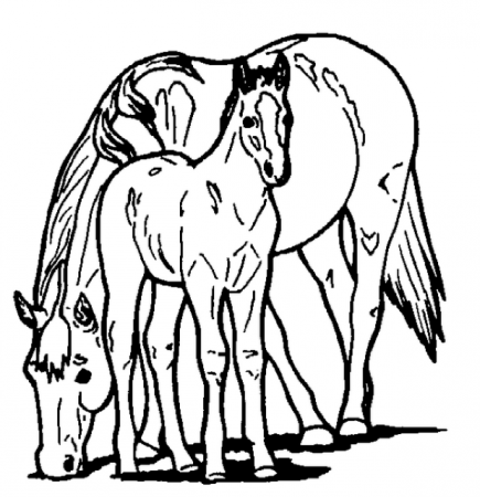 Horse and Pony Coloring Page coloring page & book for kids.