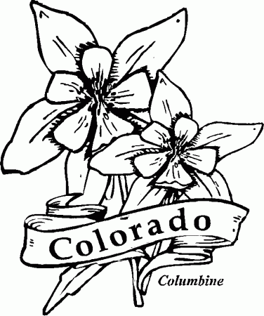 Columbine Flower Coloring Pages columbine flowers coloring pages ...