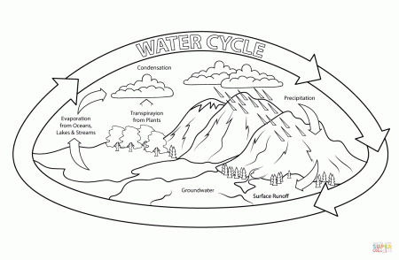 Water Cycle coloring page | Free Printable Coloring Pages