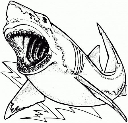 Shark Coloring Pages Printable - Coloring Page Photos