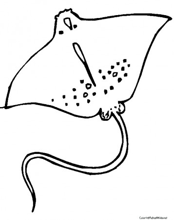 Stingray Coloring Pages for Kids - Get Coloring Pages