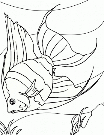 Pin Coloring Pages Free Outline Drawing Of Aquarium