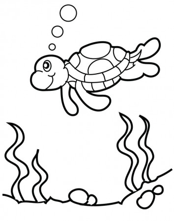 Free Printable Turtle Coloring Pages For Kids | Turtle coloring pages,  Animal coloring pages, Coloring pages