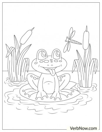 Free FROGS Coloring Pages for Download (Printable PDF) - VerbNow