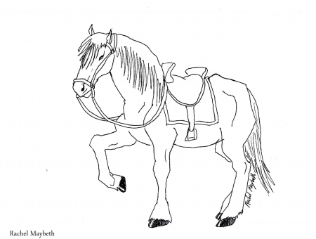 Rachel Maybeth : Free Horse, Unicorn, and Pegasus Coloring Pages