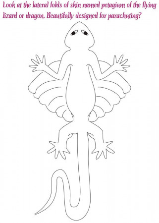 Flying Lizard/ Dragon coloring pages